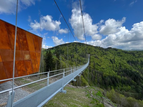 Haus-am-Bach-Todtnauberg-Haengebruecke