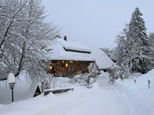 Haus-am-Bach-Todtnauberg-Skiurlaub