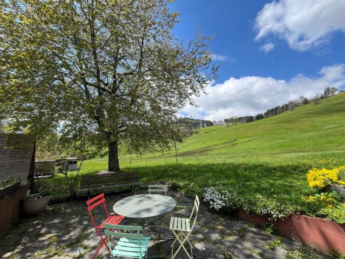 Haus-am-Bach-Todtnauberg-Terrasse