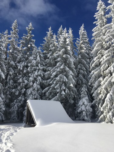 Haus-am-Bach-Todtnauberg-Winter-Huette
