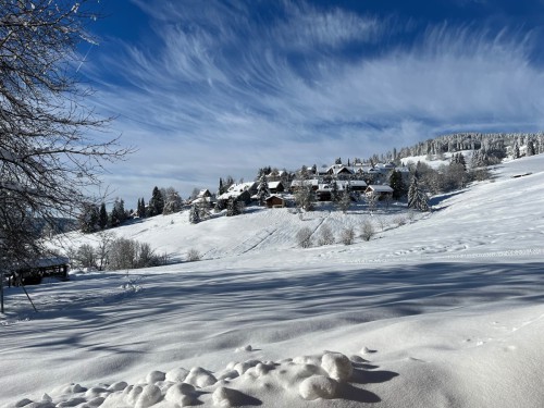 Haus-am-Bach-Todtnauberg-Winter-Wiese