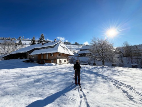 Haus-am-Bach-Todtnauberg-Wintersonne