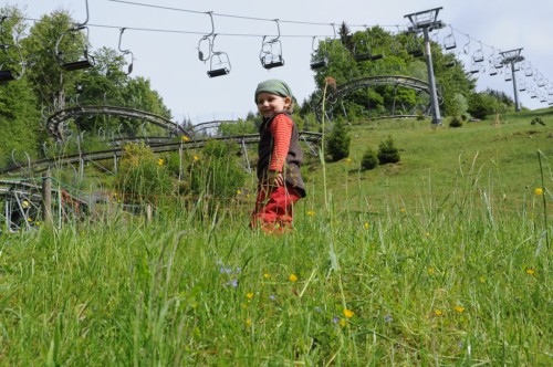 Todtnau_Hasenhorn_Coasterbahn
