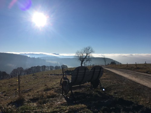 Todtnauberg-Herzbank-Herbst