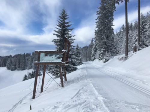 Todtnauberg-Panoramaweg-Loipe