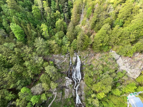 Todtnauberg_Haengebruecke_Blackforestline_Wasserfall