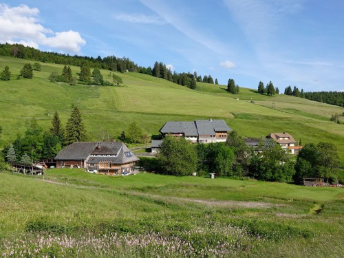 haus-am-bach-todtnauberg-blick-kapellenlift-fruehling